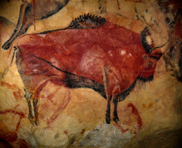 bison