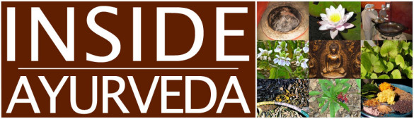 insideayurveda_banner_960px