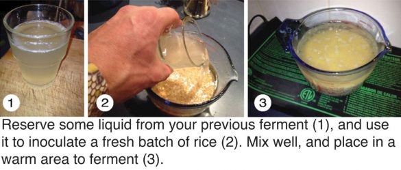 fermented_rice_6