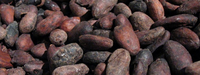 On the subject of “raw” cacao…