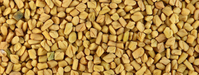 Fenugreek for blood sugar